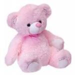 Baby Shyra Bansal