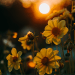 Choosing the Right Funeral Home