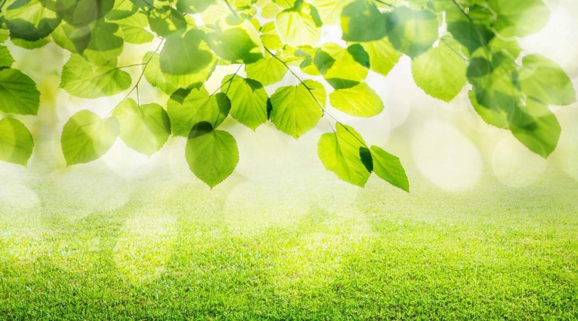 how-to-plan-a-funeral-reception