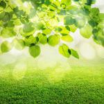 How to Plan a Funeral Reception