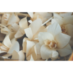 What Happens if You Choose to be Cremated?