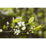 How Can You Show Your Support For A Grieving Family?