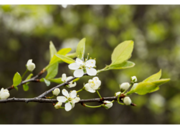 Show Your Support For A Grieving Family