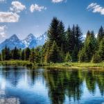 Mr. Naranjan Singh Jhooty