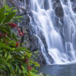 Mrs. Ordella Jean Kenyon