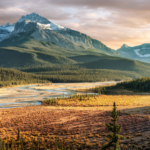 Mr. Andrew Nelson Layes