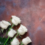 Mr. Timothy Dinh Ngo