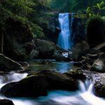 Murray William Mjolsness