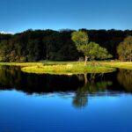 Trueman Leroy Conrad