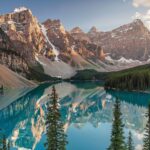 Manjit Sarwant-Kaur Kaur