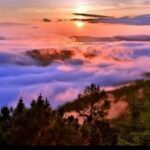 William (Becky) James Wright